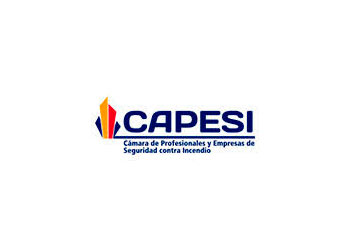 logo-capesi